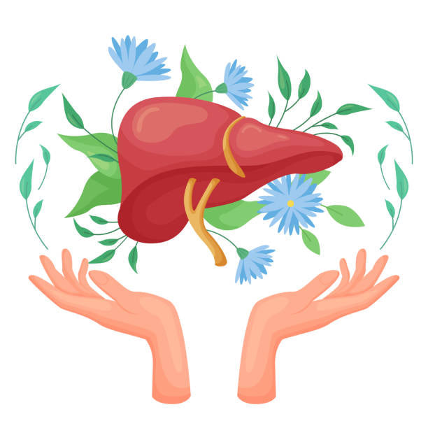 Liver Detox