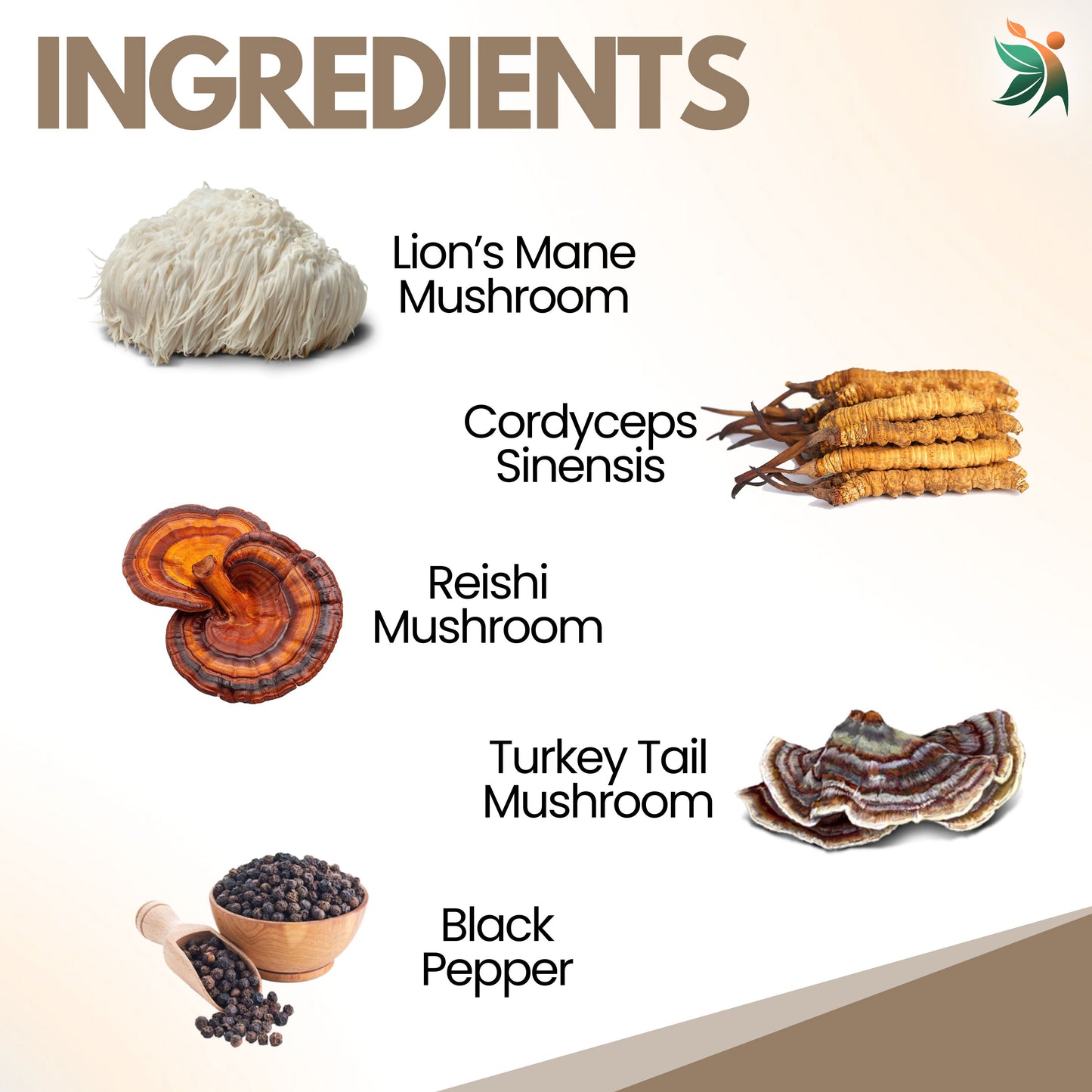 lion_s_mane_ingredients