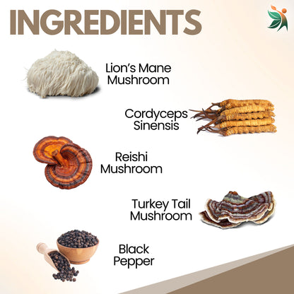 lion_s_mane_ingredients