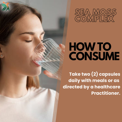 Vedapulse Sea Moss 500mg capsules - skin ,immune