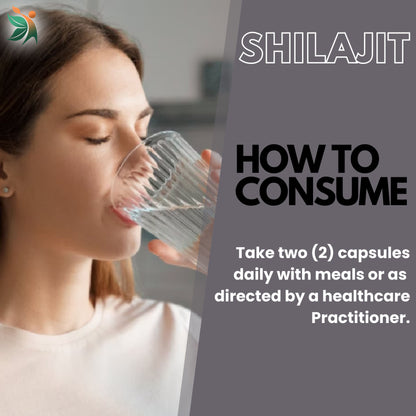 Shilajit 1100 Mg Capsules | Vedapulse